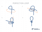 Perfection Loop